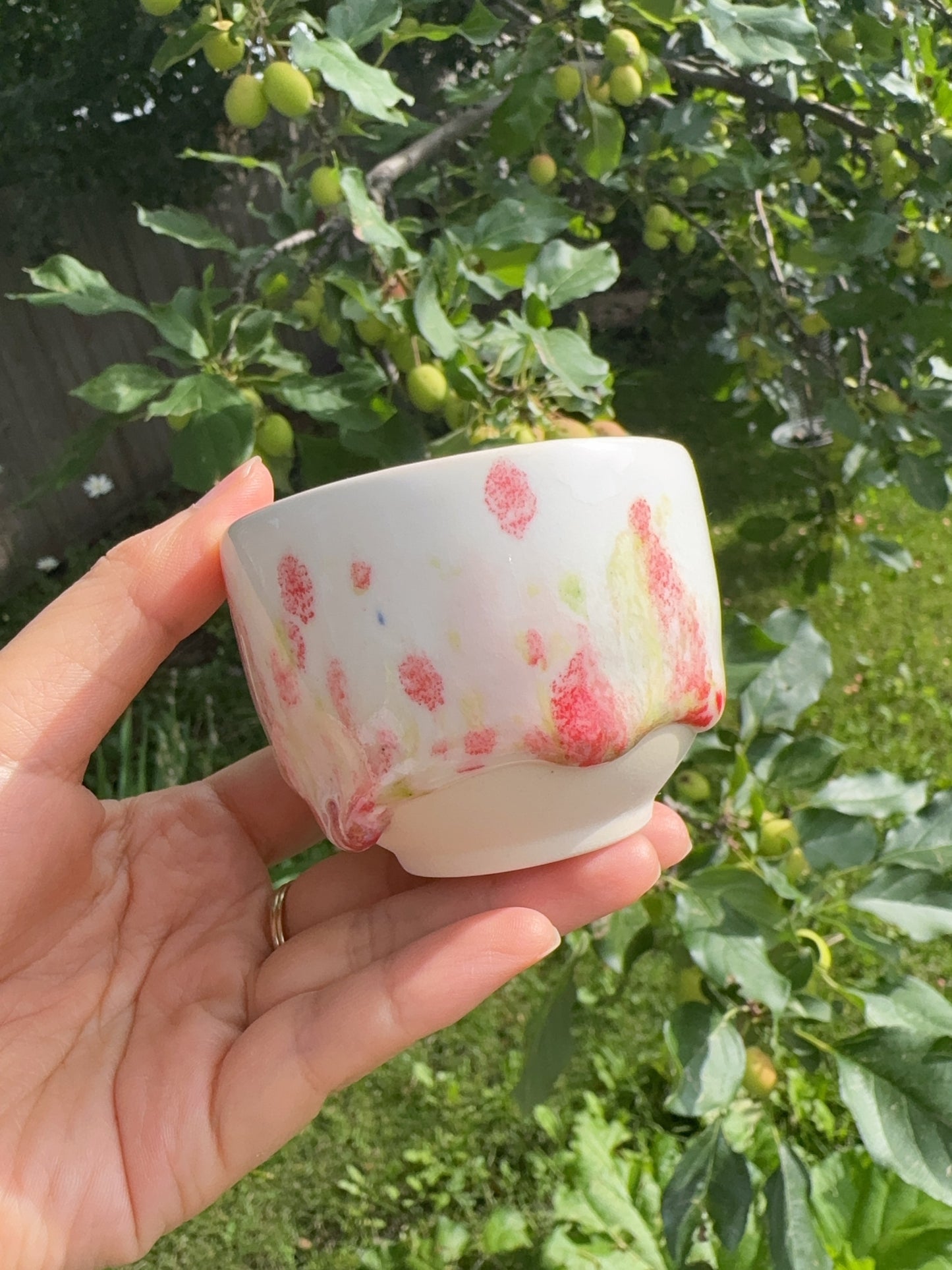 Strawberry 100ml Mini Tea Bowls