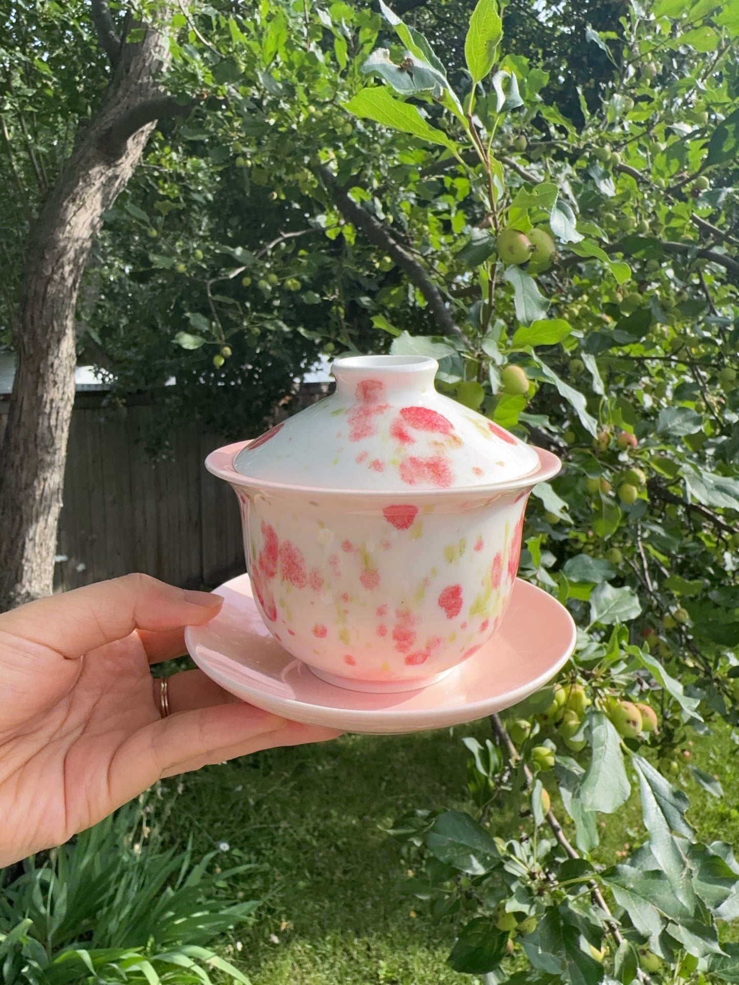 Dreamy Strawberry Gaiwan