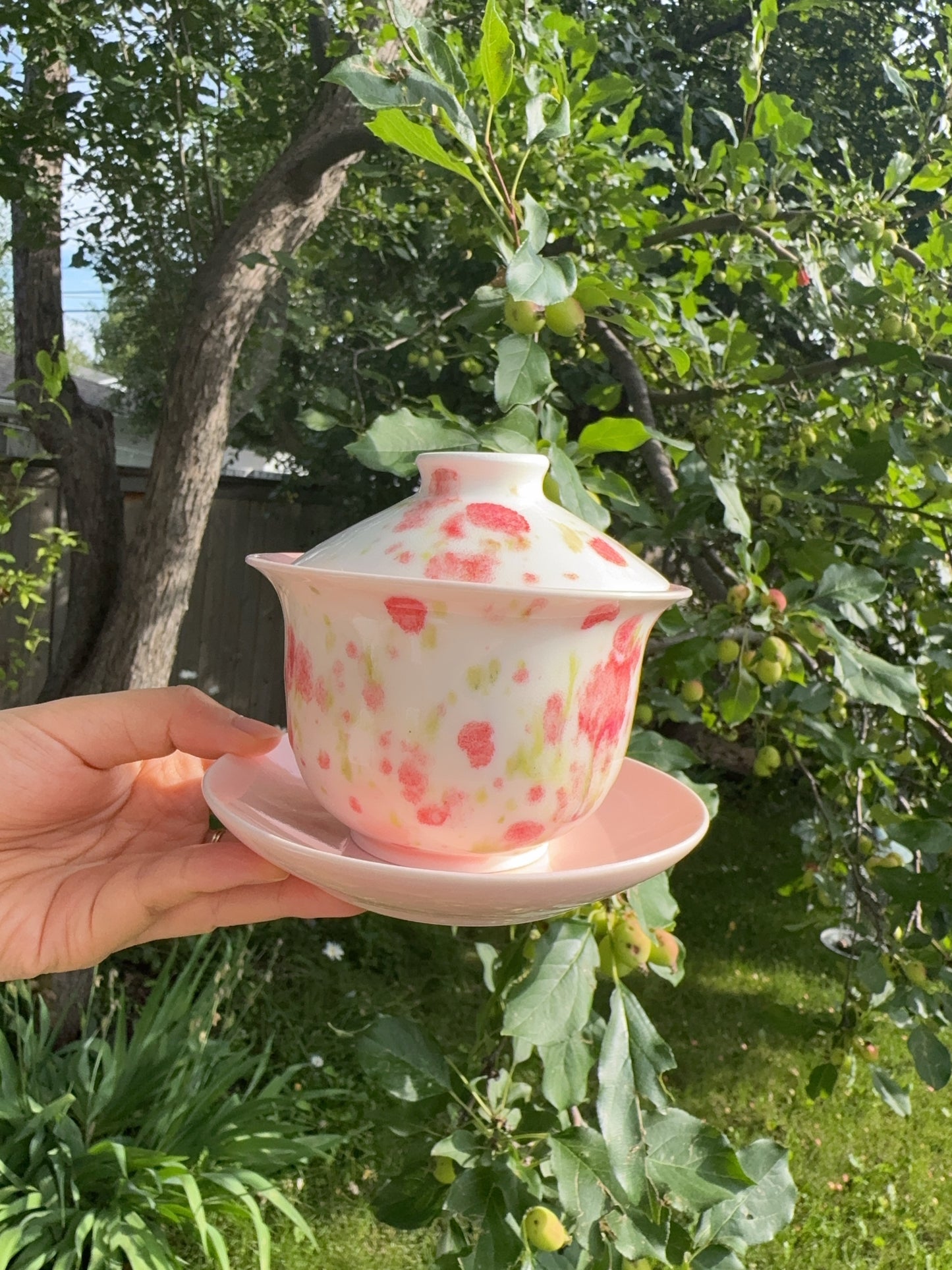 Dreamy Strawberry Gaiwan